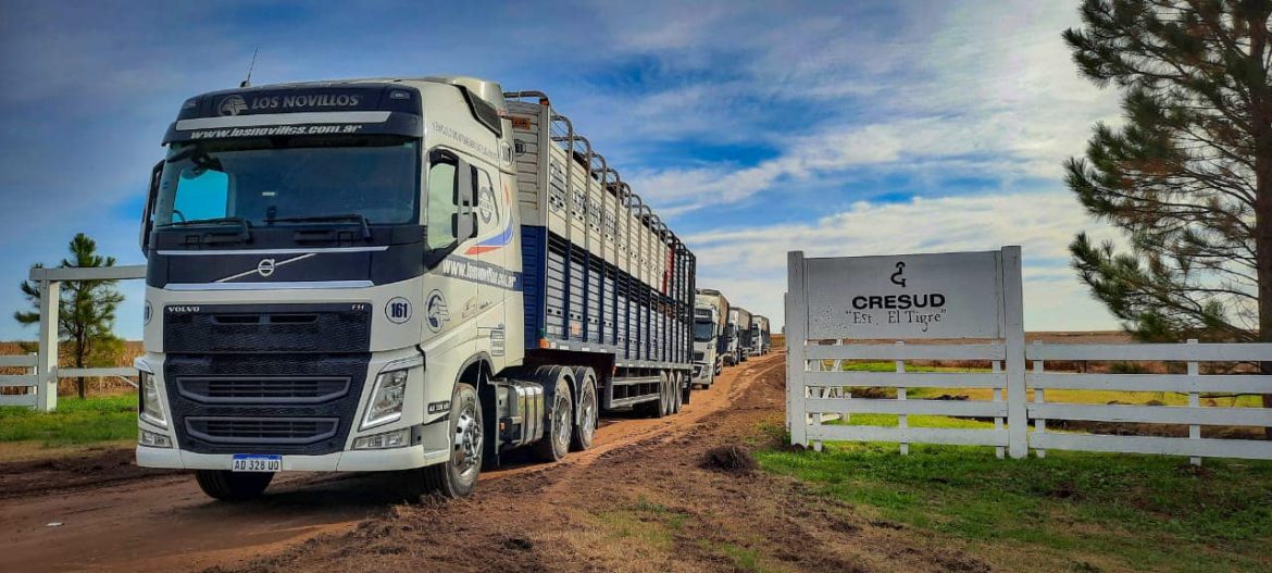 La multinacional Cresud vendió 500 hectáreas del campo “El Tigre” en Trenel