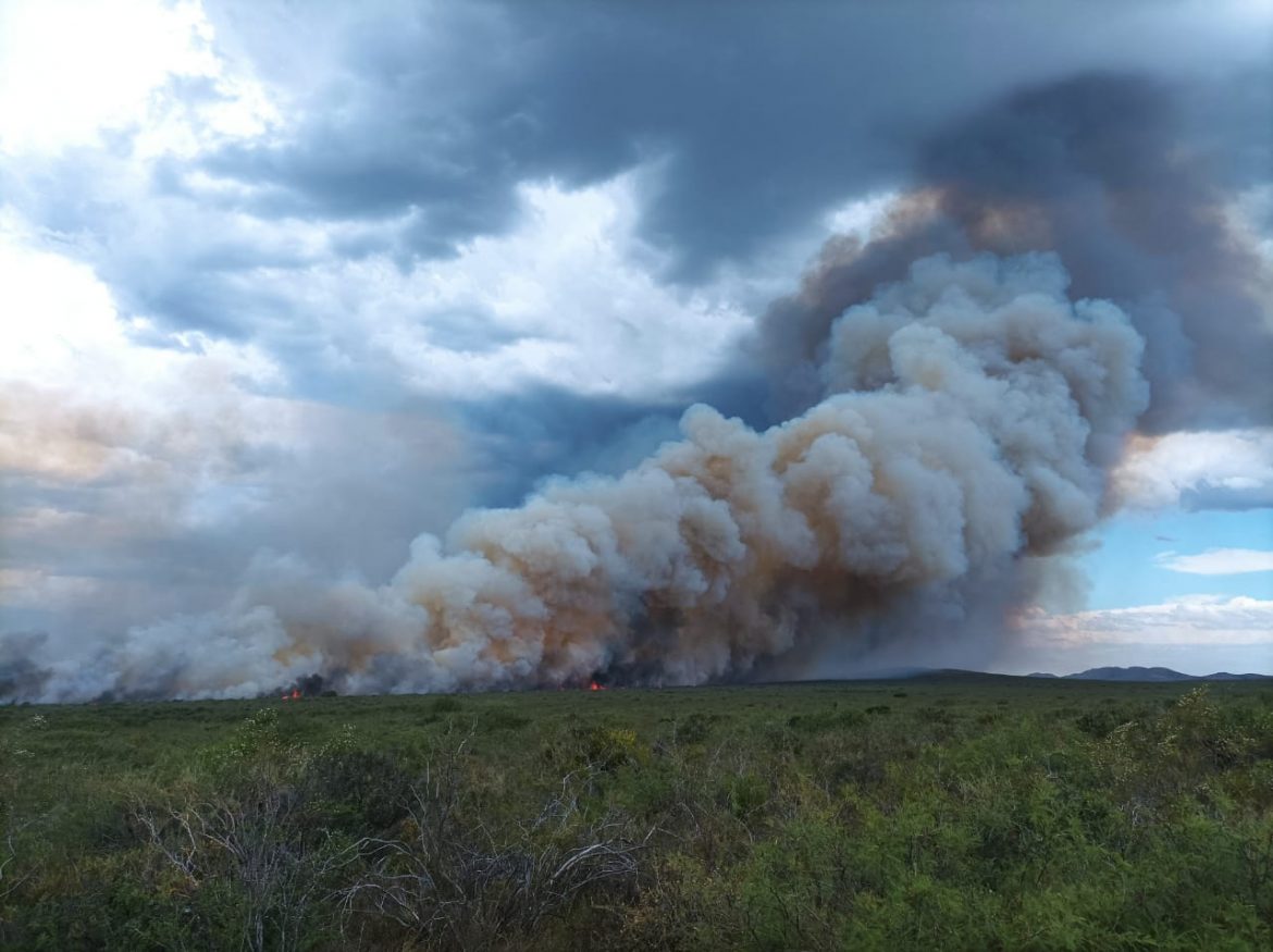 Patricia Bullrich se encargará del Sistema Nacional del Manejo del Fuego