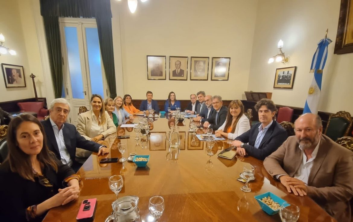 Kroneberger, en la reunión de los radicales con Villarruel: se necesitan “consensos” y “certezas”