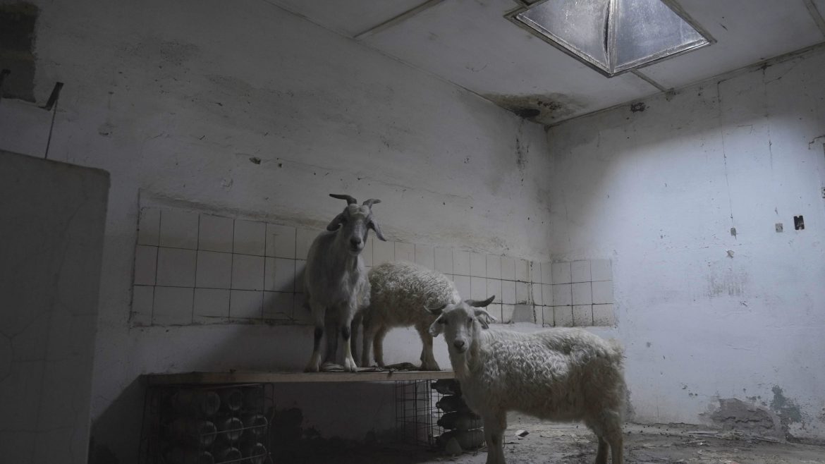 Estrenan el documental “Las apariencias” en Santa Rosa, un relato del oeste pampeano