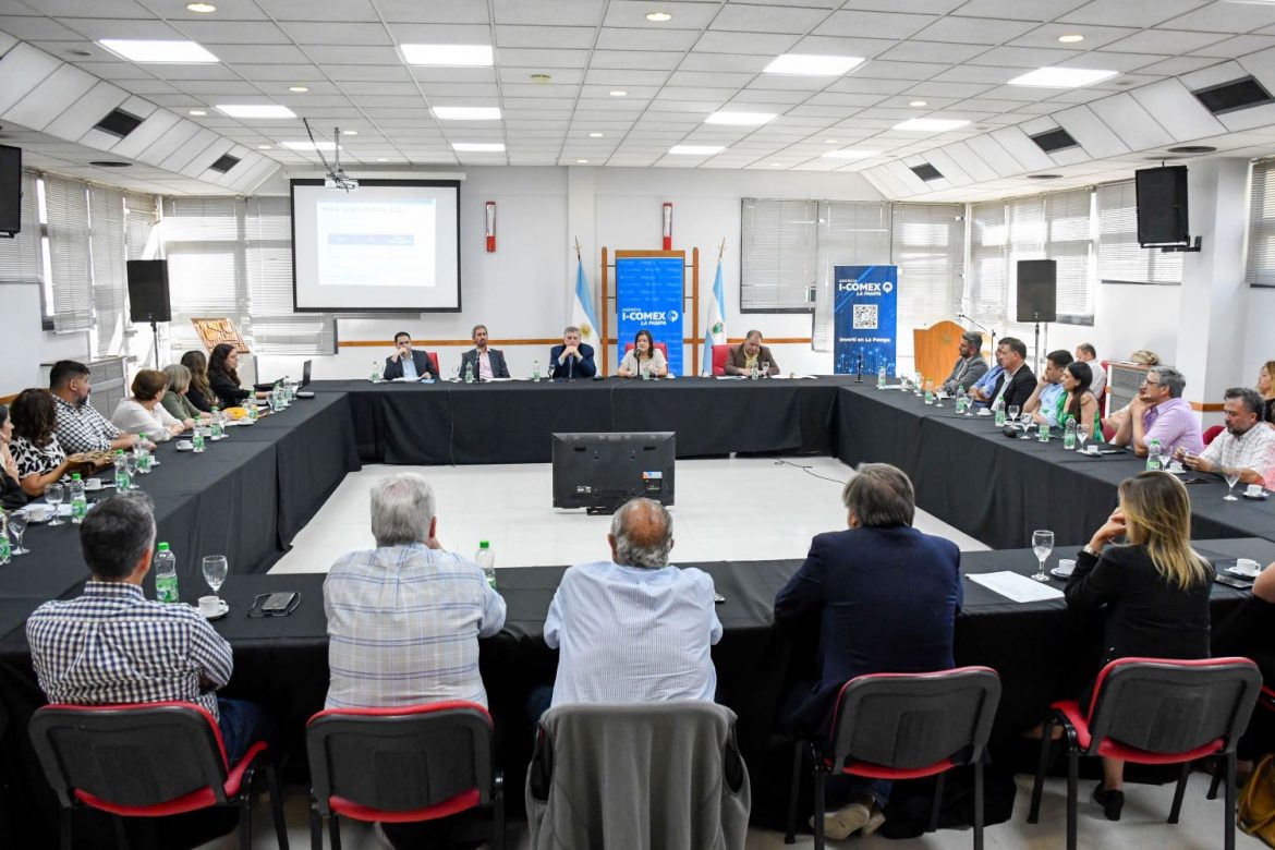 Ziliotto, escéptico: por Milei, La Pampa detendrá el crecimiento y mucha clase media pasará a la pobreza