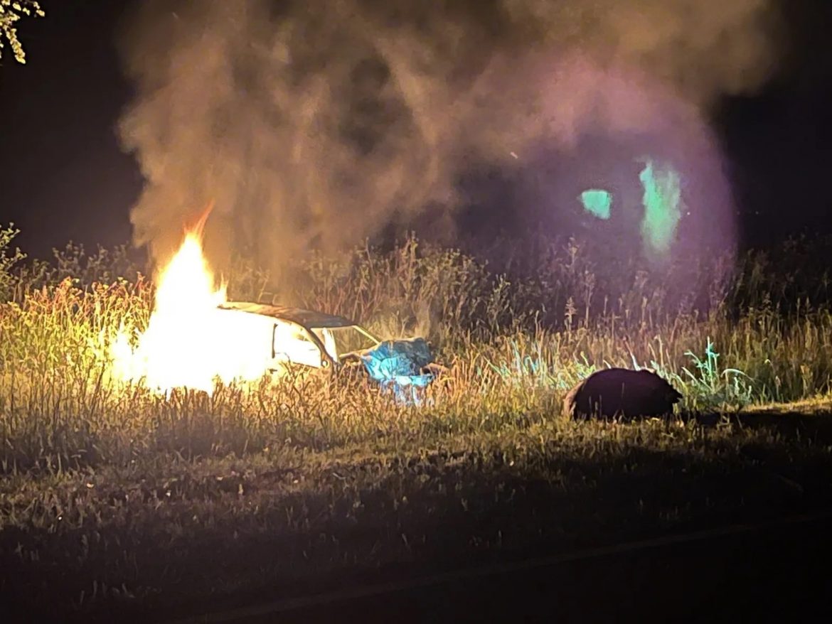 Chocó una vaca, se incendió el auto y salió ilesa