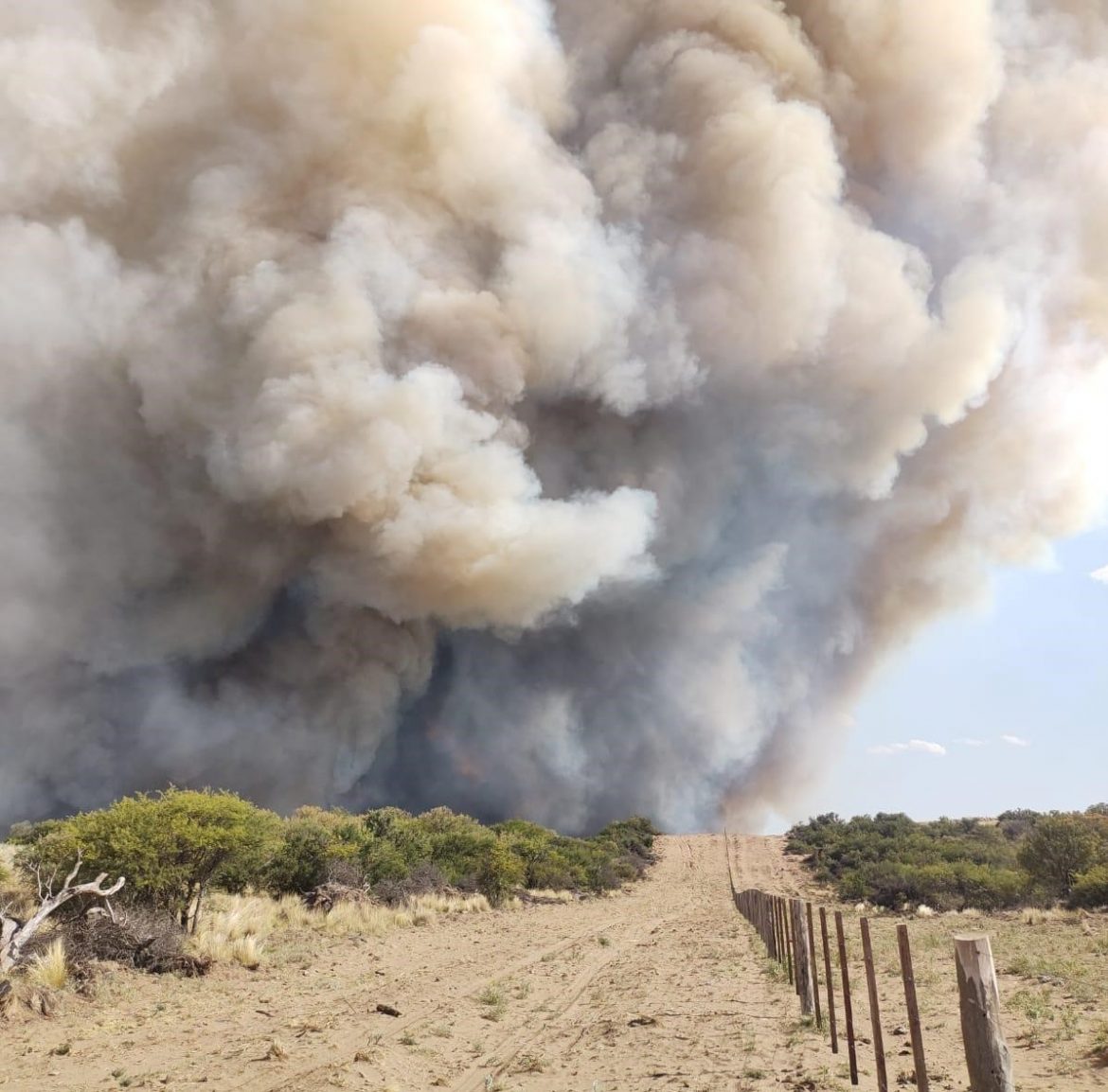 La temporada de incendios 2023-2024 finalizó con solo 52.766 hectáreas afectadas