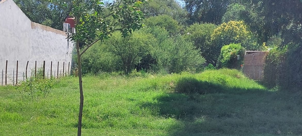 El municipio de Toay releva terrenos “descuidados” y advierte por fuertes multas