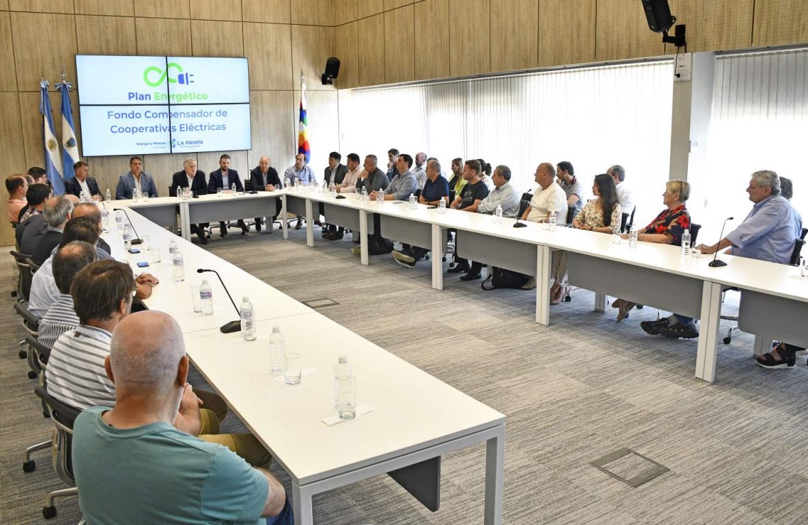 Electricidad: cooperativas destacan la decisión de poner el Fondo Compensador para no trasladar mayores costos a los asociados