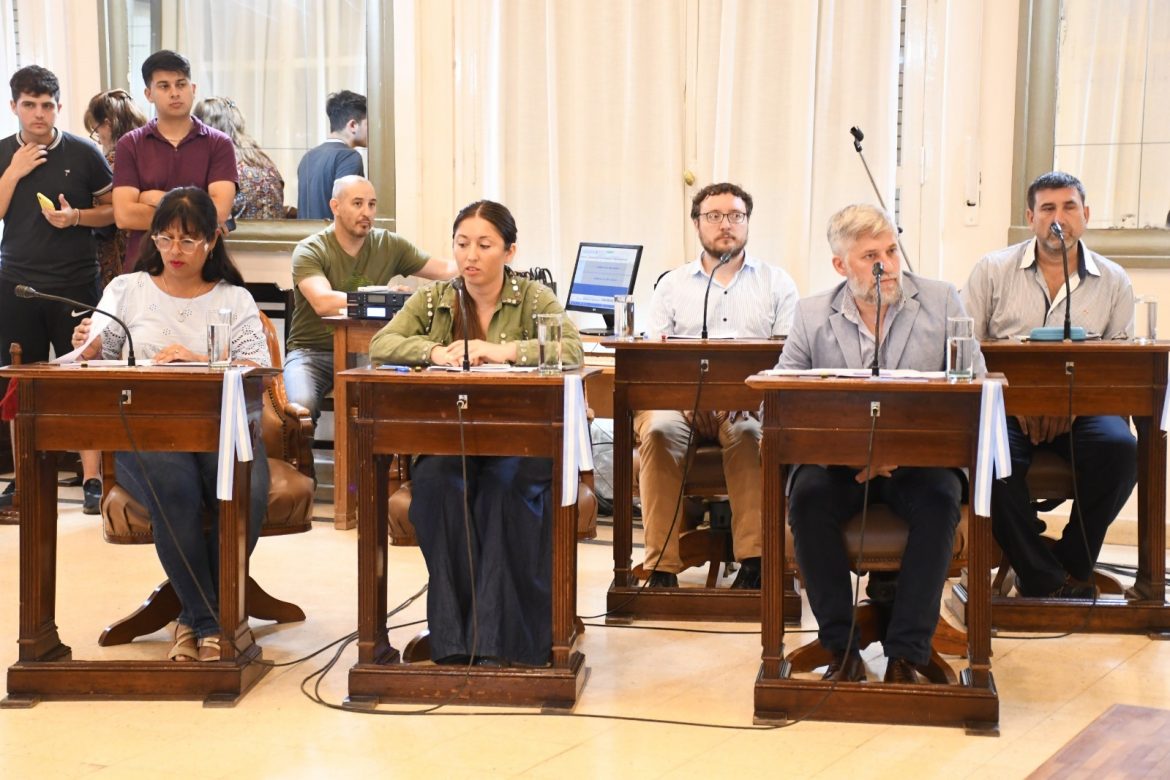 Convoca a nueva sesión o lo saca ad referendum: Di Nápoli decide qué camino seguir para subir el boleto de micros