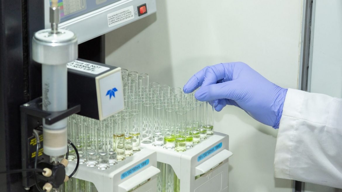 Este martes, charla sobre nanotecnología y cannabis en Santa Rosa