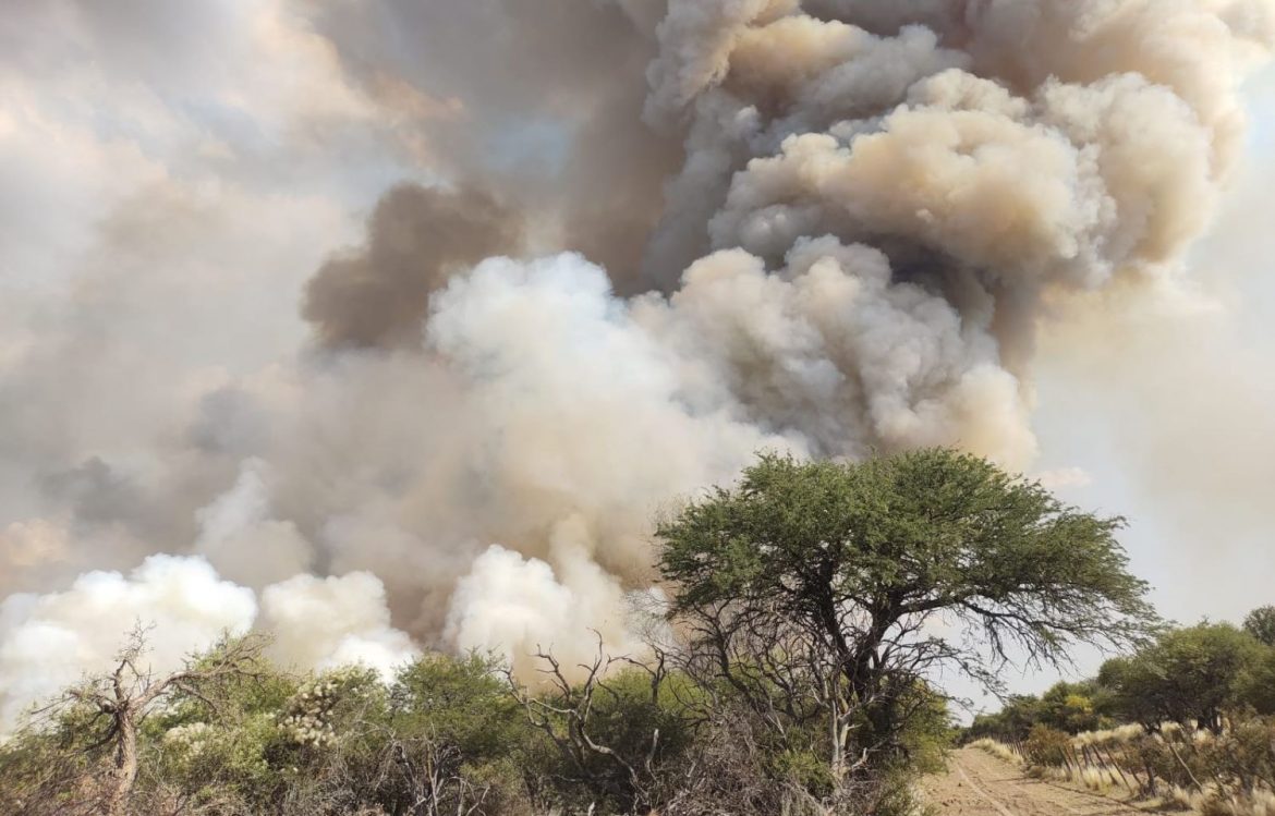 Combaten un incendio en Abramo: en esta temporada ya se quemaron 142 mil hectáreas