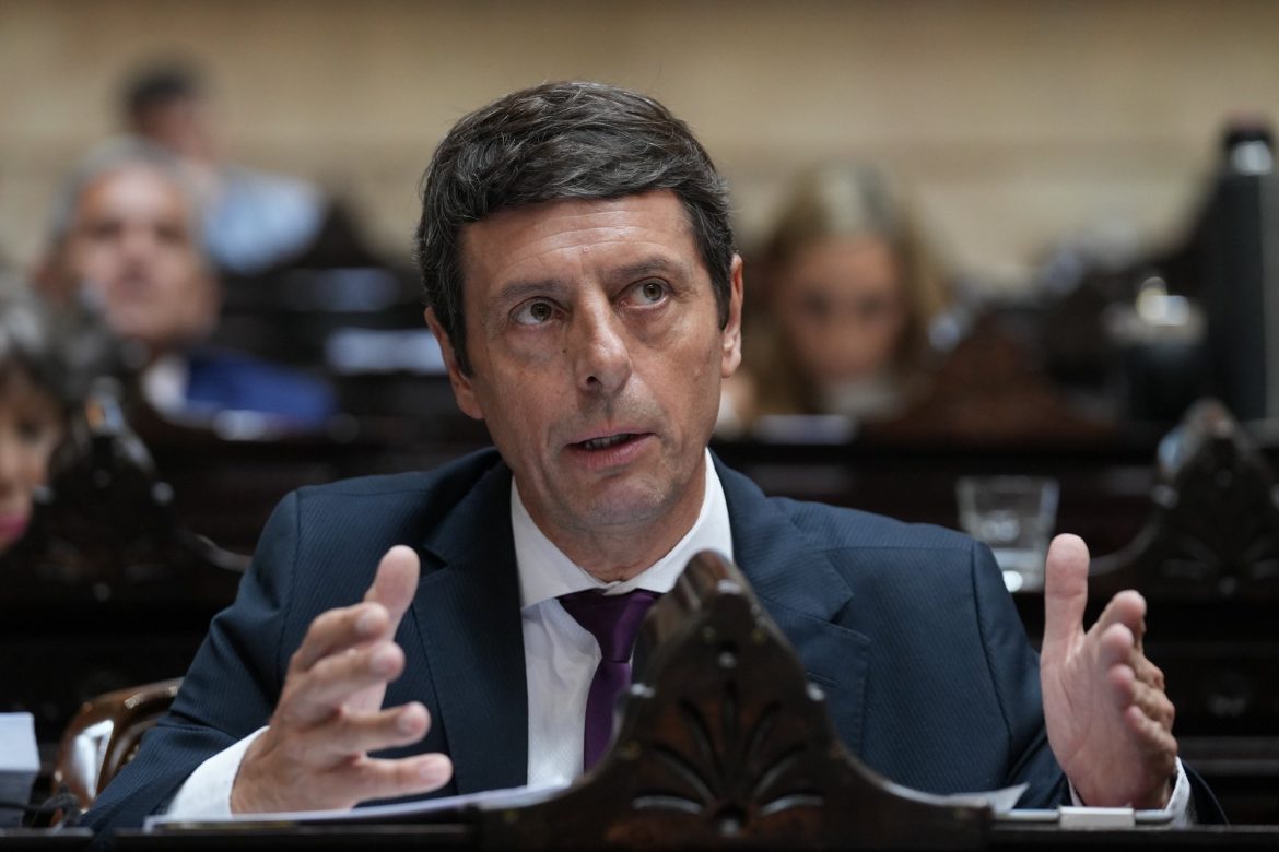 Rauschenberger y su rechazo al DNU: “Es inconstitucional”