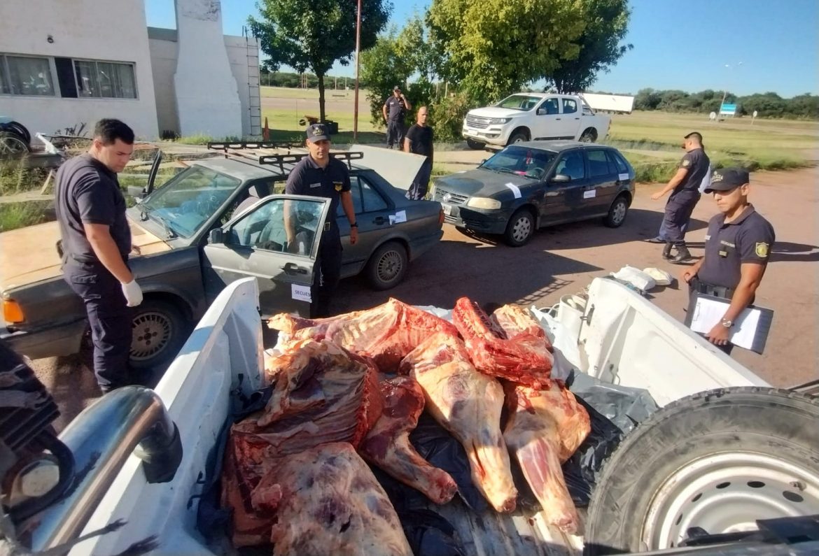 La Guerra de la Vaca: en controles en rutas del oeste, interceptan a furtivos y a autores de abigeatos