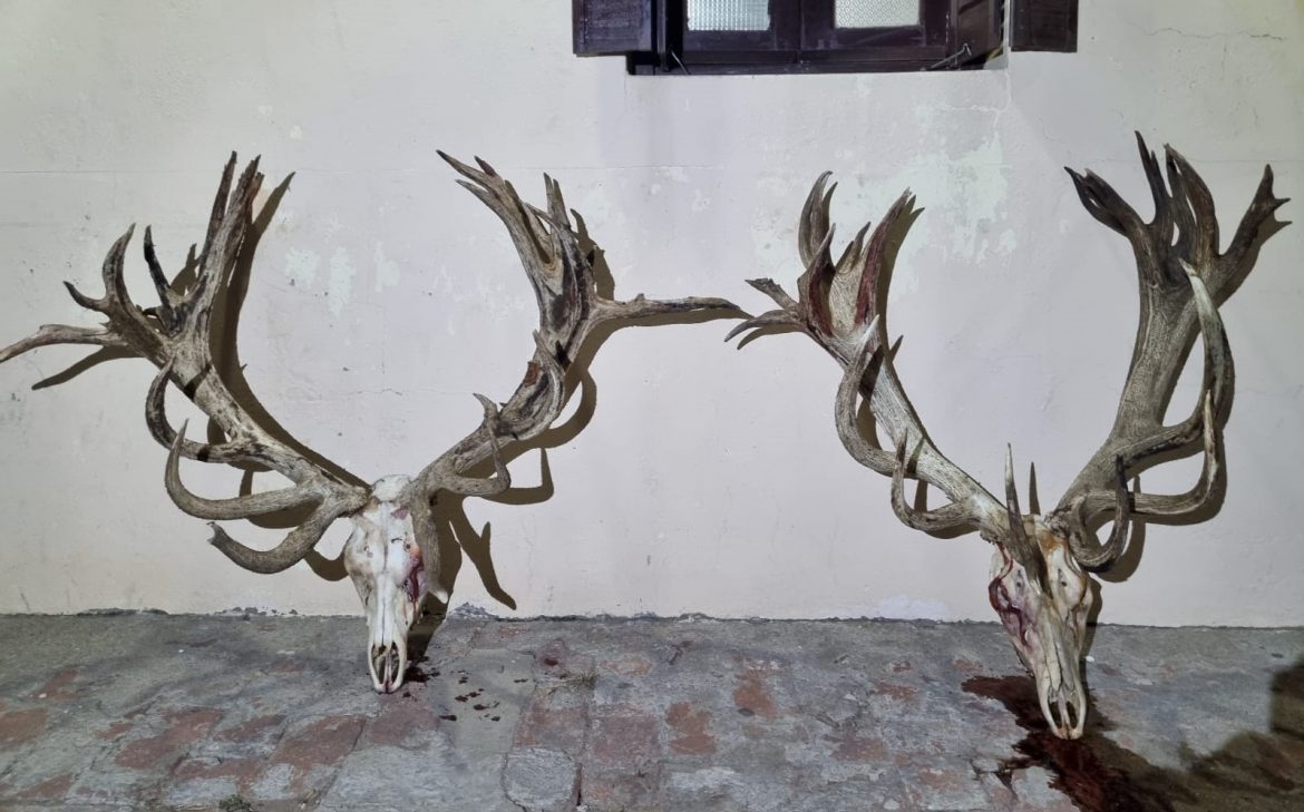 Caza ilegal: allanamientos, secuestros y detenciones en Guatraché y la zona