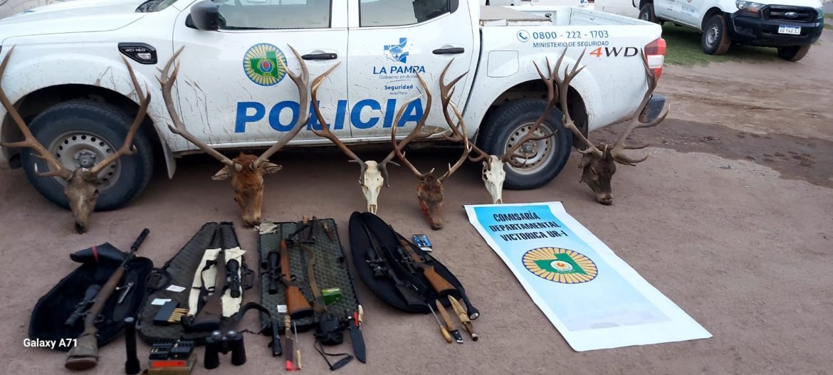 Descubren campamento de furtivos en un campo de Telén: tenían carpas, freezer, carne y cabezas de animales