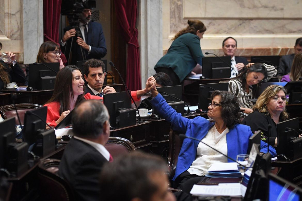 El Senado rechazó el mega DNU: Bensusán en contra y Huala y Kroneberger a favor