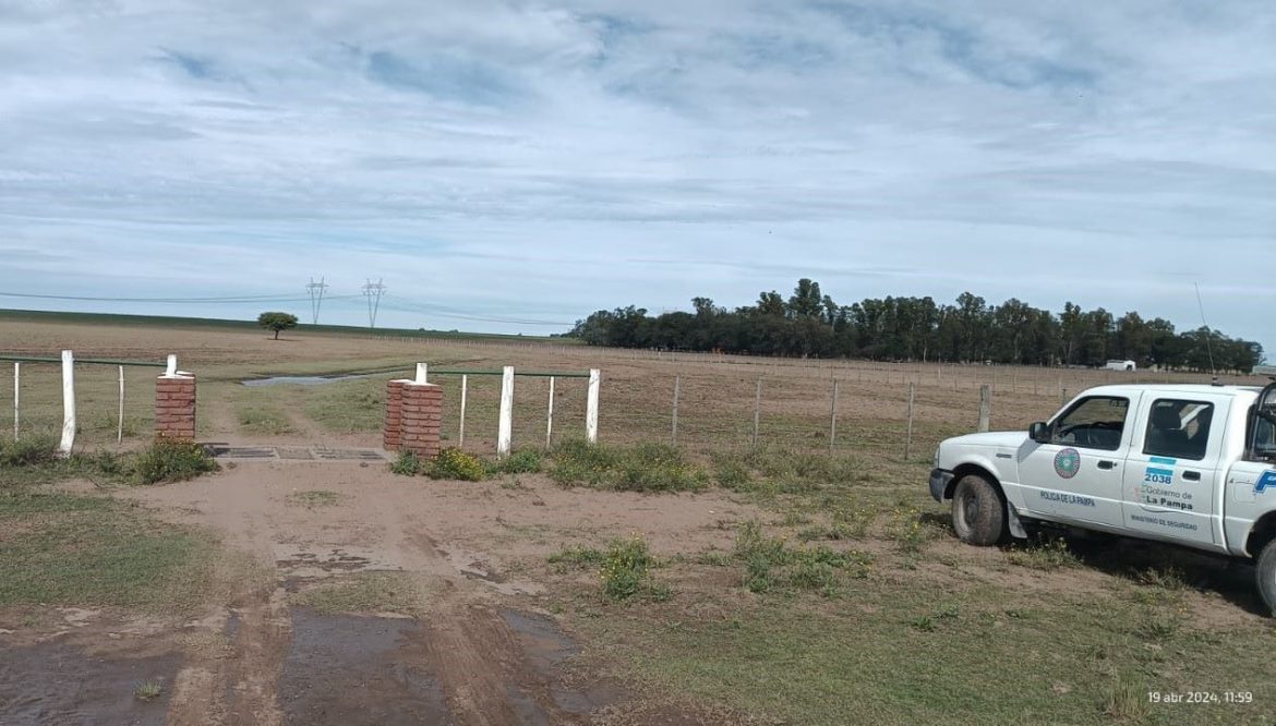 Alpachiri: la Policía detuvo a tres achenses con tres ovejas vivas en el baúl