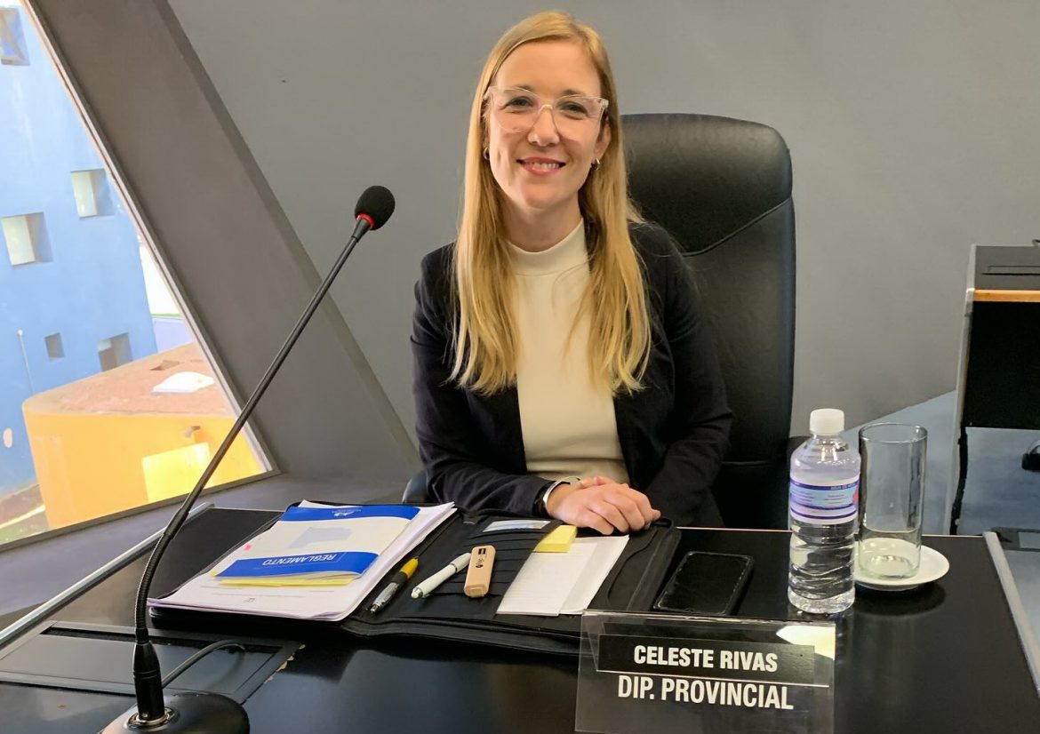 El PRO pide terminar con la reelección indefinida de intendentes en La Pampa