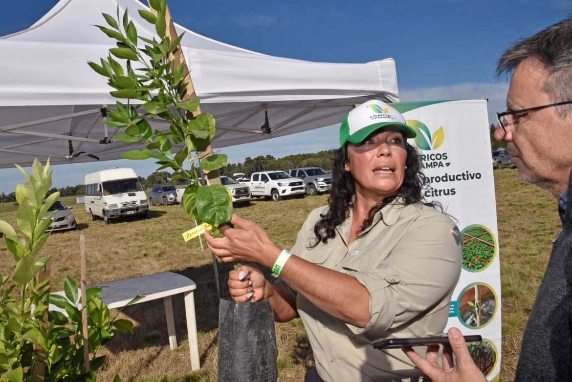 Expo Dinámica: la historia de la Pyme que puso a La Pampa en el mapa citrícola del país