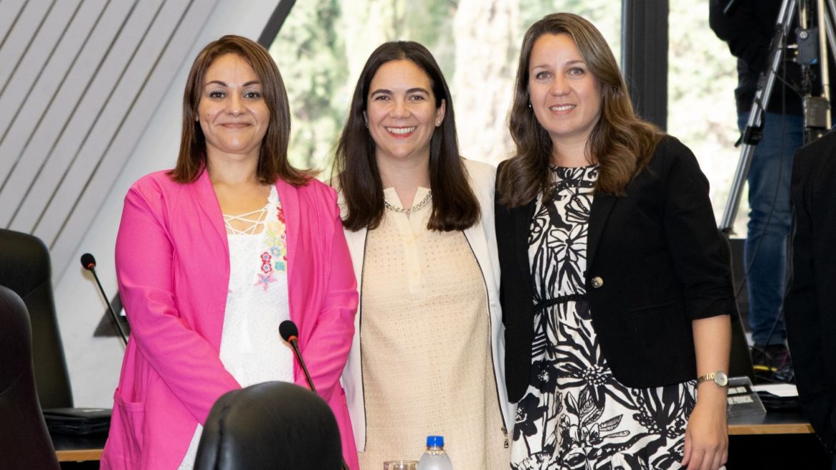 Proyecto de ley para la concientización sobre el autismo