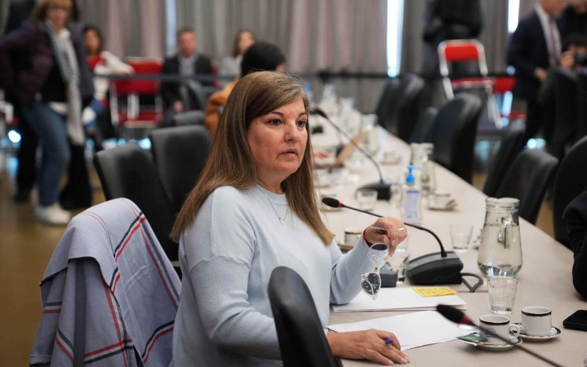 Sesiones extraordinarias: advertencia del bloque radical de la diputada Coli