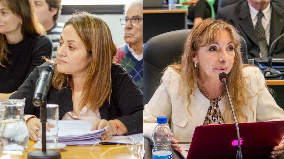 Dos diputadas ponen la lupa en los programas sociales: reclaman auditorías externas