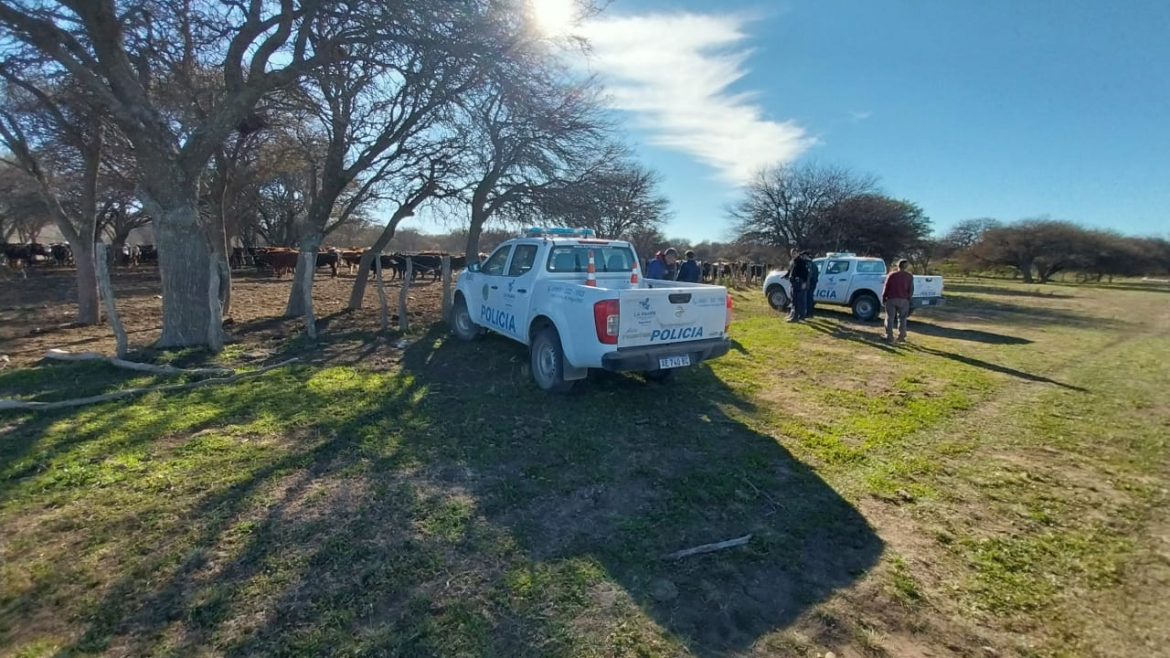 Abigeato en la zona de Toay: dos imputados y 10 vacunos recuperados