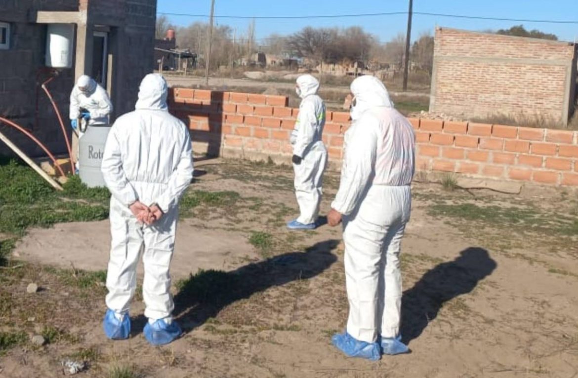 Una mujer denunció que fue violada y golpeada en Santa Isabel: dos detenidos