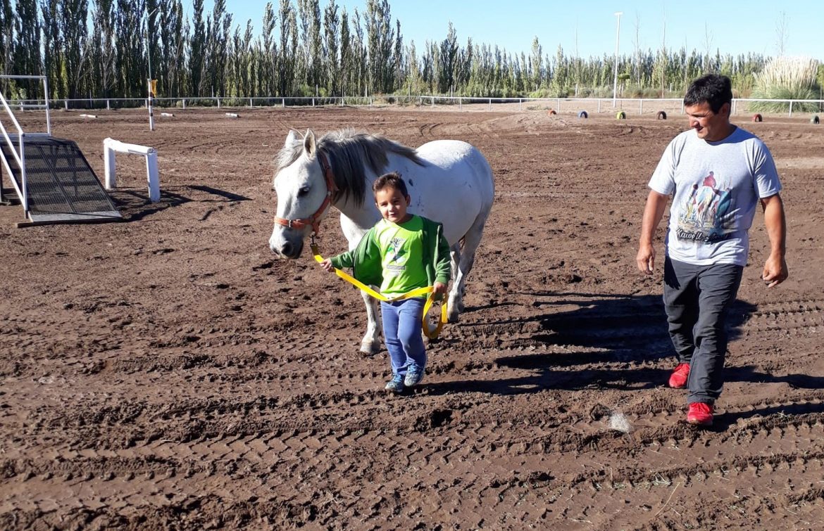 Catriel: robaron y faenaron a Carlitos, un caballo que acompañaba a pacientes de equinoterapia