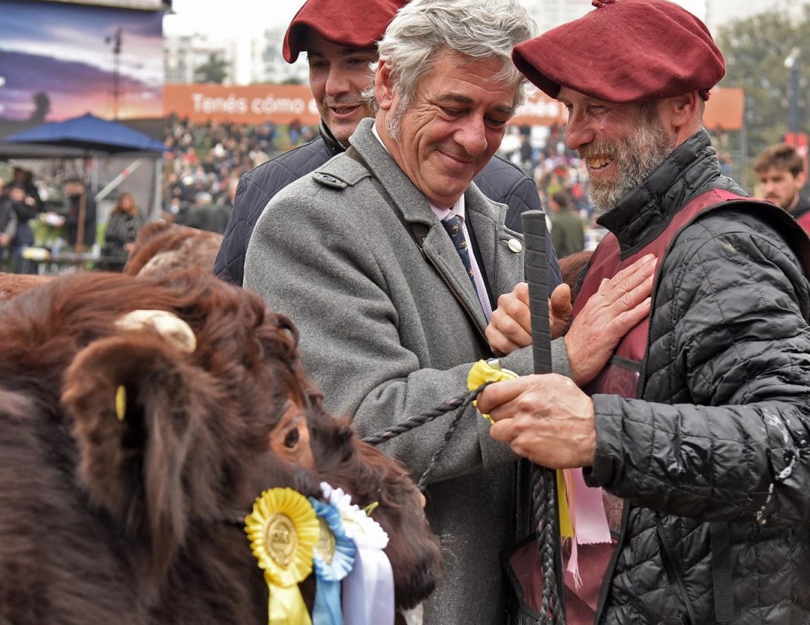 Un toro de una cabaña de Anguil, Gran Campeón Shorthorn en la Rural de Palermo