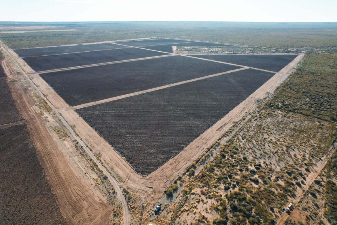 Casa de Piedra, polo pistachero: por qué en La Pampa hay produccion y en Río Negro (aún) no