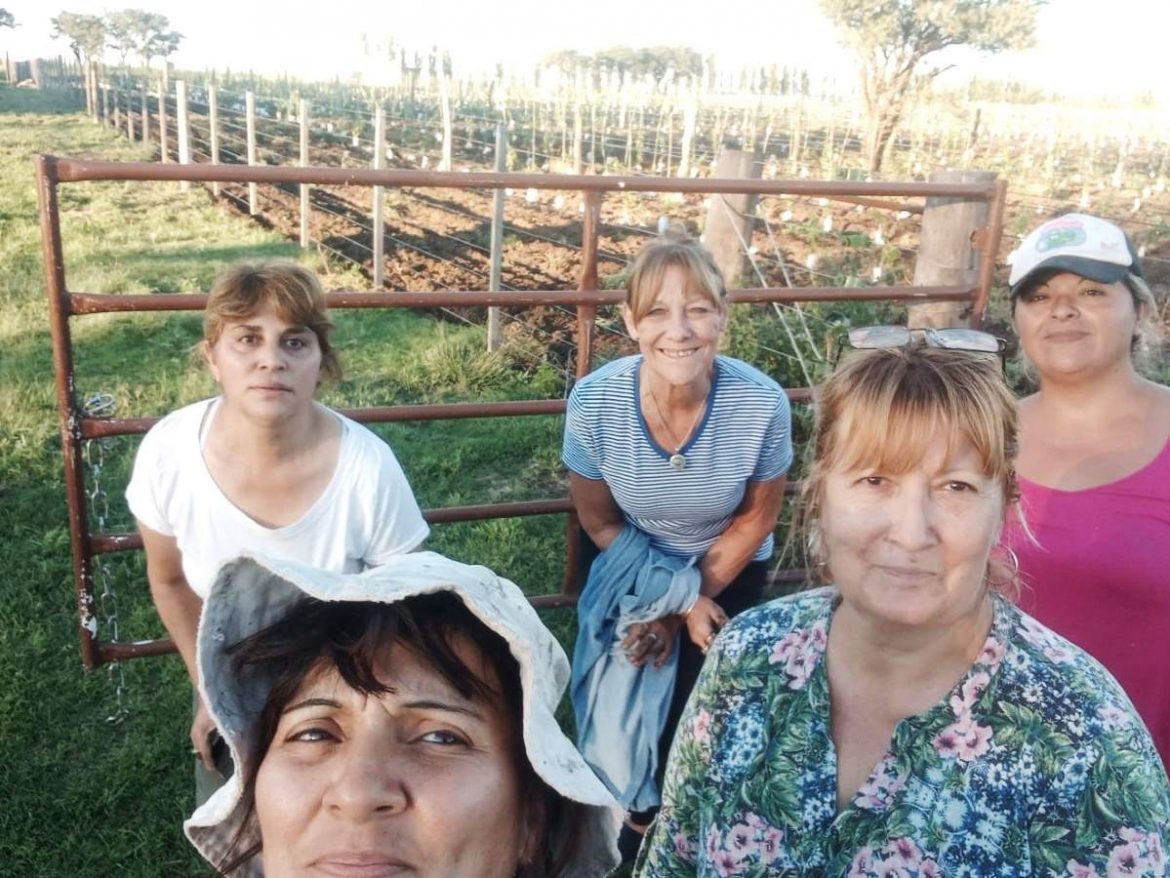 Las mujeres que llevan adelante los vinos PH: “De 200 plantas pasamos a 12 mil”
