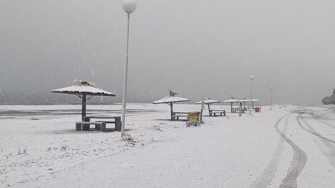 Las fotos de la nevada en Casa de Piedra, 25 de Mayo, Puelén y Duval