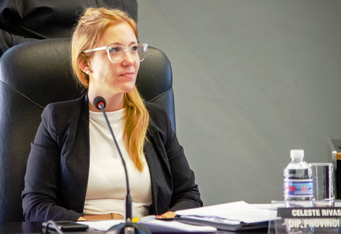 Diputada del PRO presentó proyecto para estudiantes secundarios