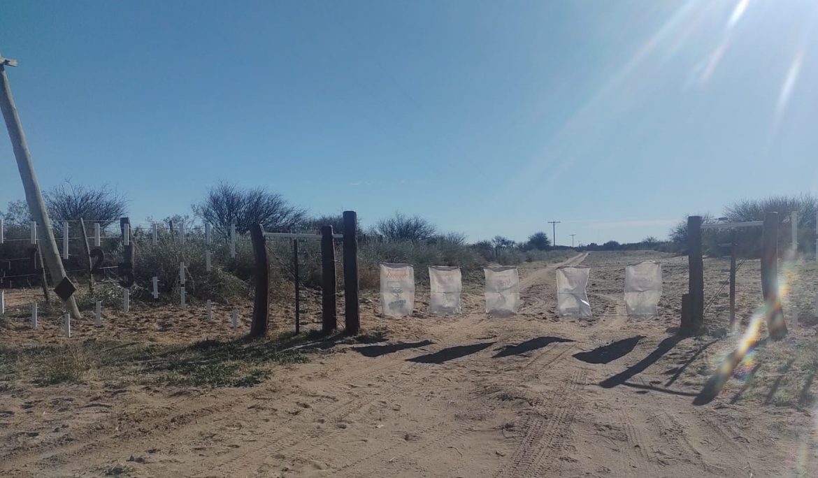 Camioneros mendocinos sustrajeron dos tranqueras de campos ubicados sobre la ruta 10