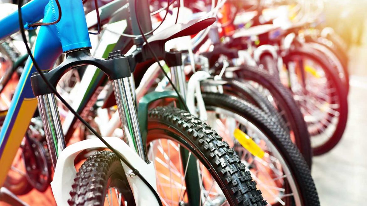 Victorica: quiso comprar bicicletas por redes sociales y la estafaron