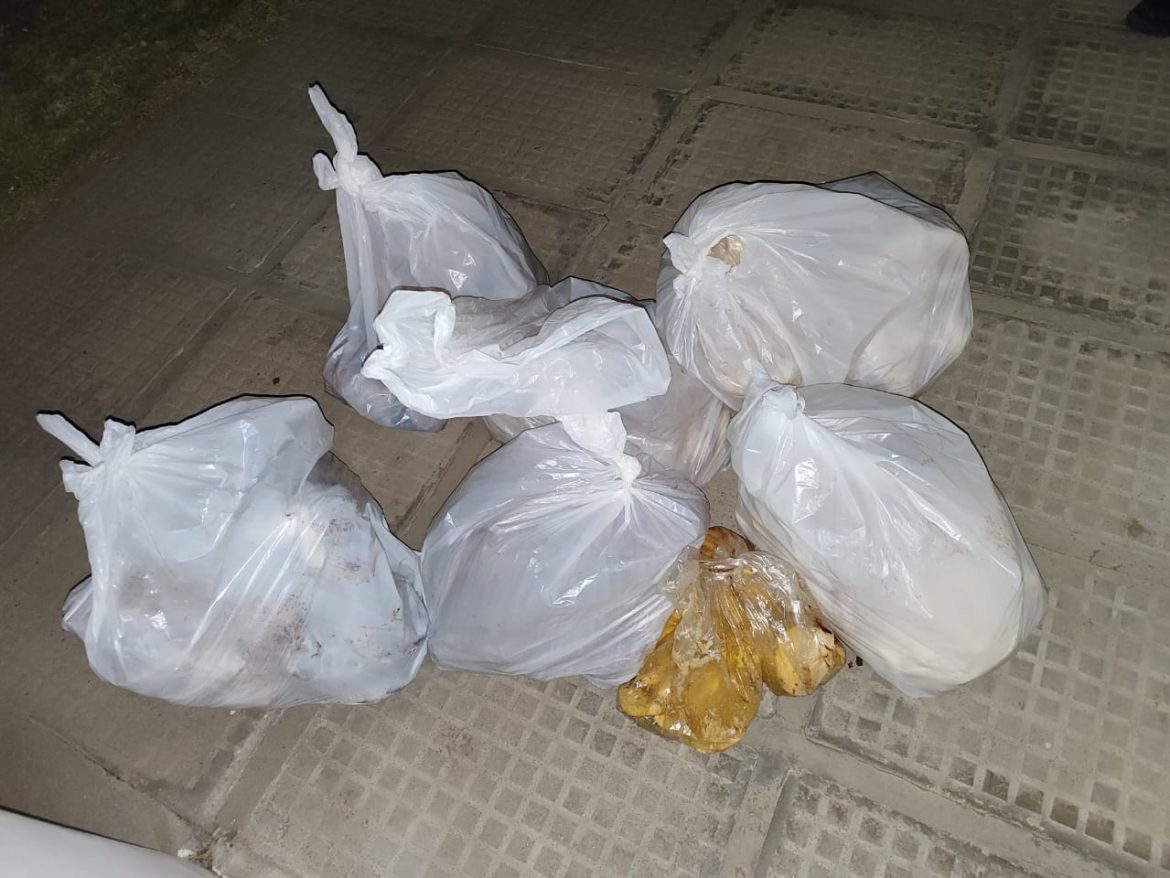 Incautan 85,5 kilos de carne en estado de putrefacción en cinco carnicerías de General Acha