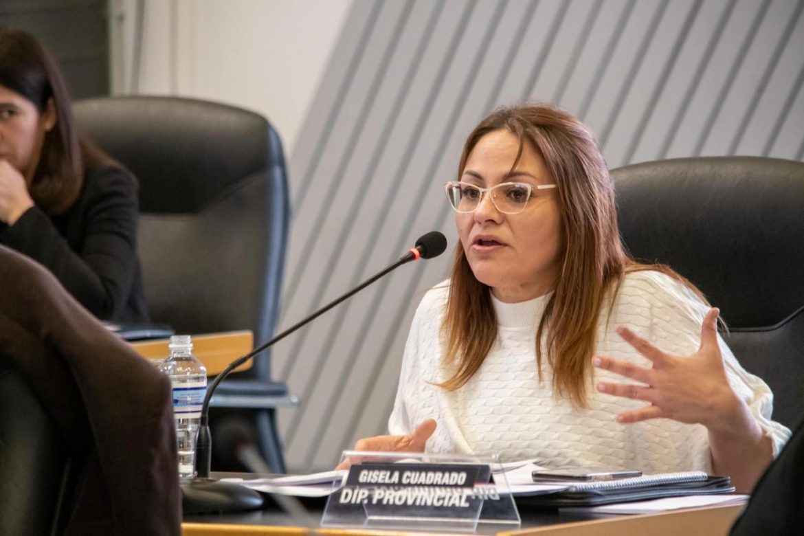 Diputada radical destacó reactivación del Observatorio Provincial de Drogas