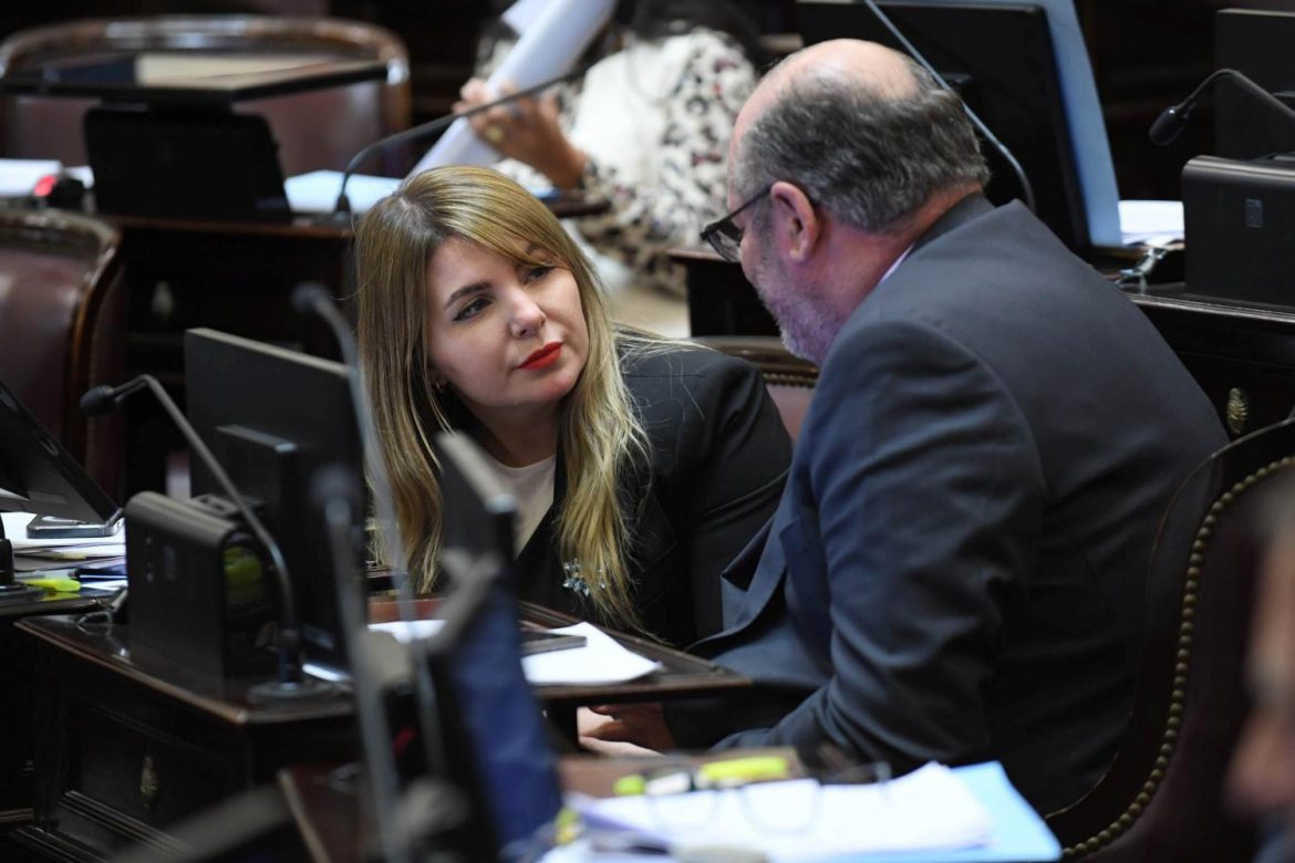 ¿Y el acuerdo LLA – Pro en La Pampa?: “Vicky” Huala se desmarcó con sus votos del Gobierno nacional
