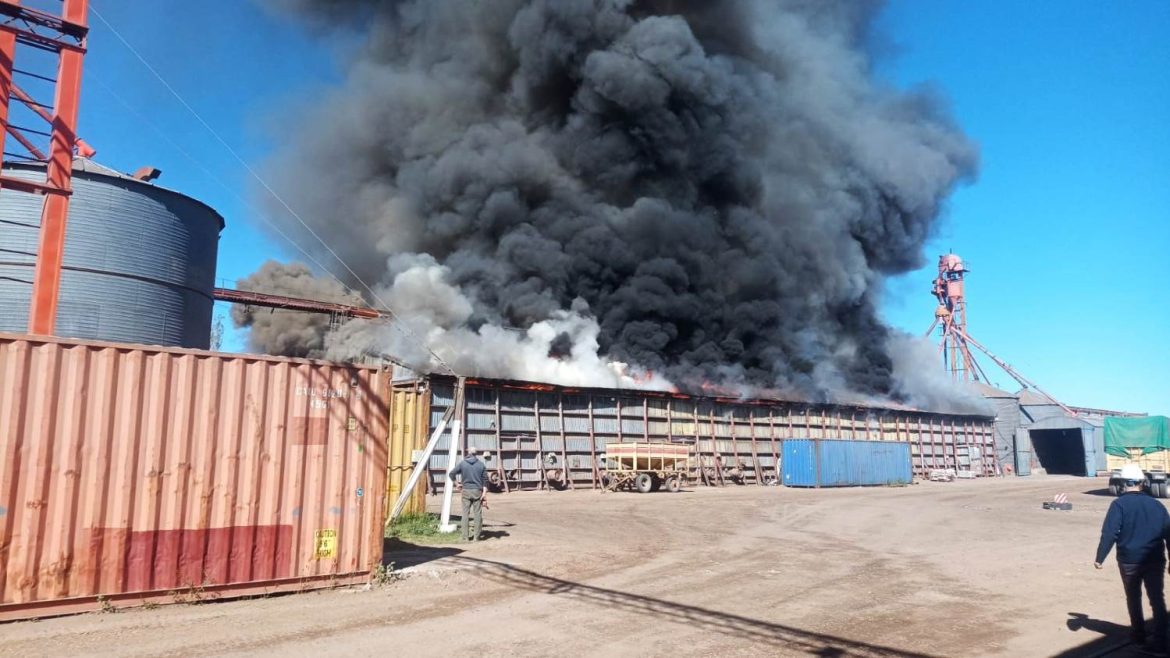 Un gran incendio arrasó una planta de silos en Luiggi