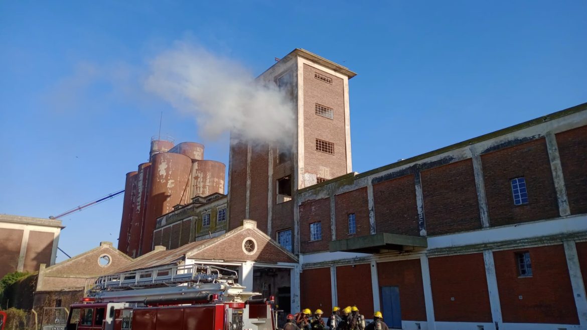En el ex Molino Werner bomberos realizaron simulacro de incendio en edificios altos