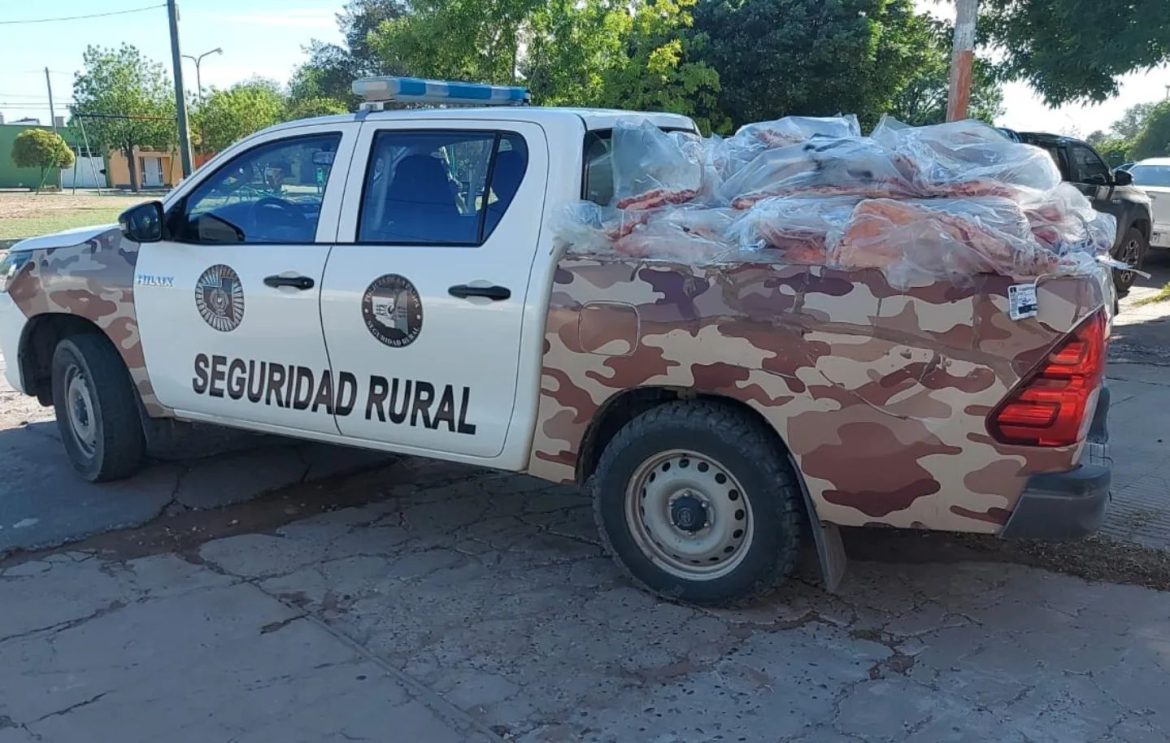 Un cargamento de $10 millones: la Policía de Acha decomisa 89 costillares vacunos