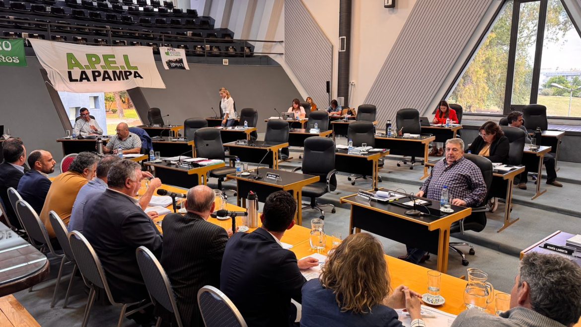 Presupuesto: el ministro Kohan expone ante la (llamativa) ausencia de varios diputados opositores