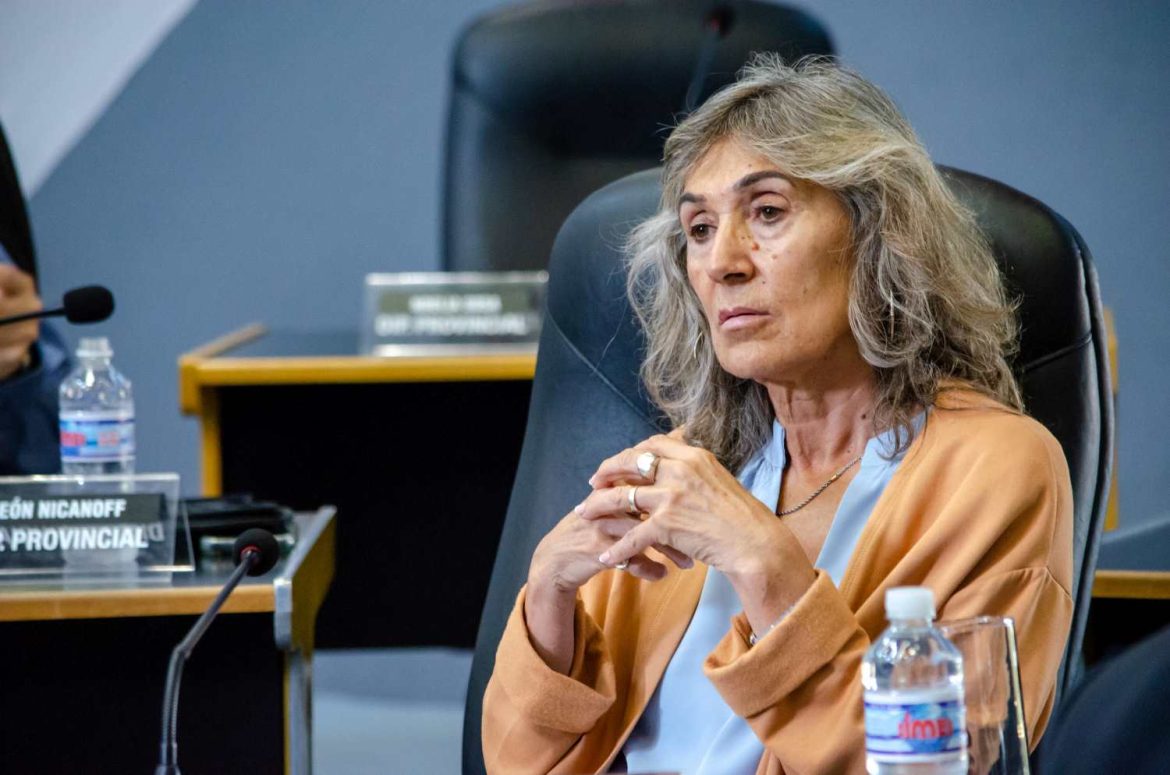 Sesiona la Legislatura y se aprueba el Presupuesto 2025: va a desempatar Alicia Mayoral