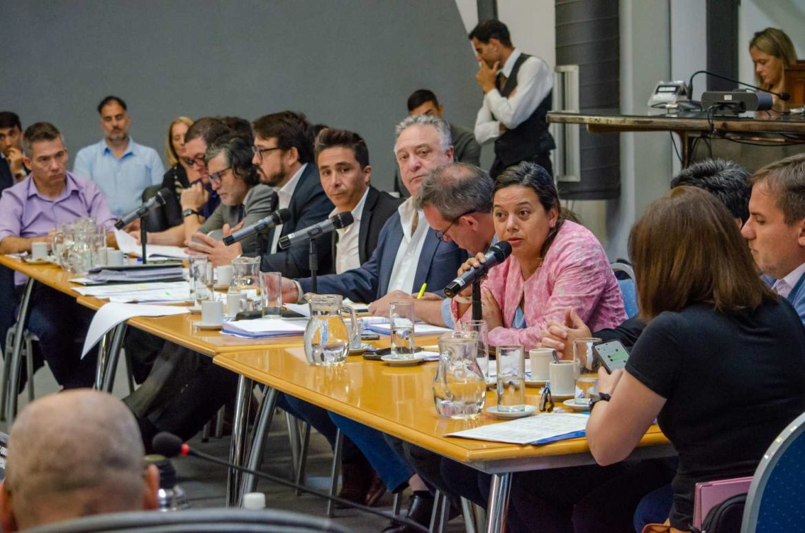 Una funcionaria de Ziliotto le respondió a un diputado del PRO: “Es una falacia decir eso”