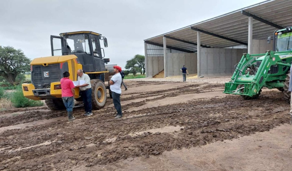 Trabajo detectó irregularidades con trabajadores de un feed lot de Winifreda