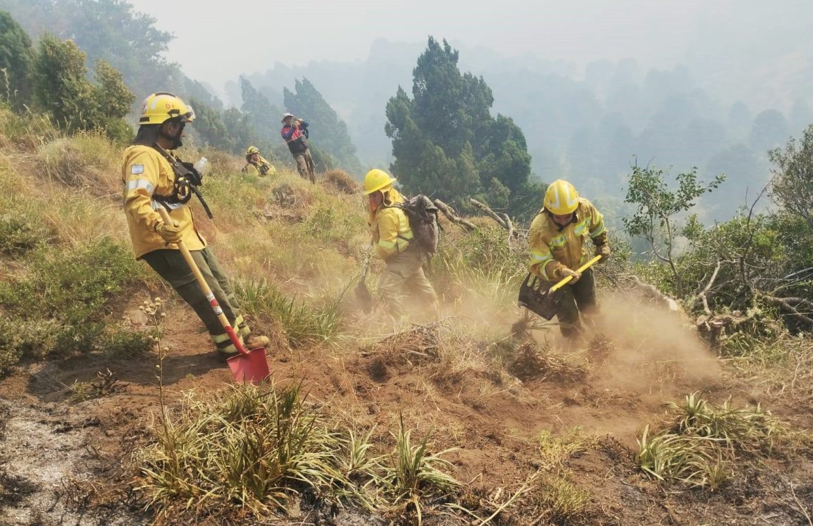 Los bomberos pampeanos ya combaten un incendio en el Parque Nacional Lanín: evacúan a comunidades mapuches