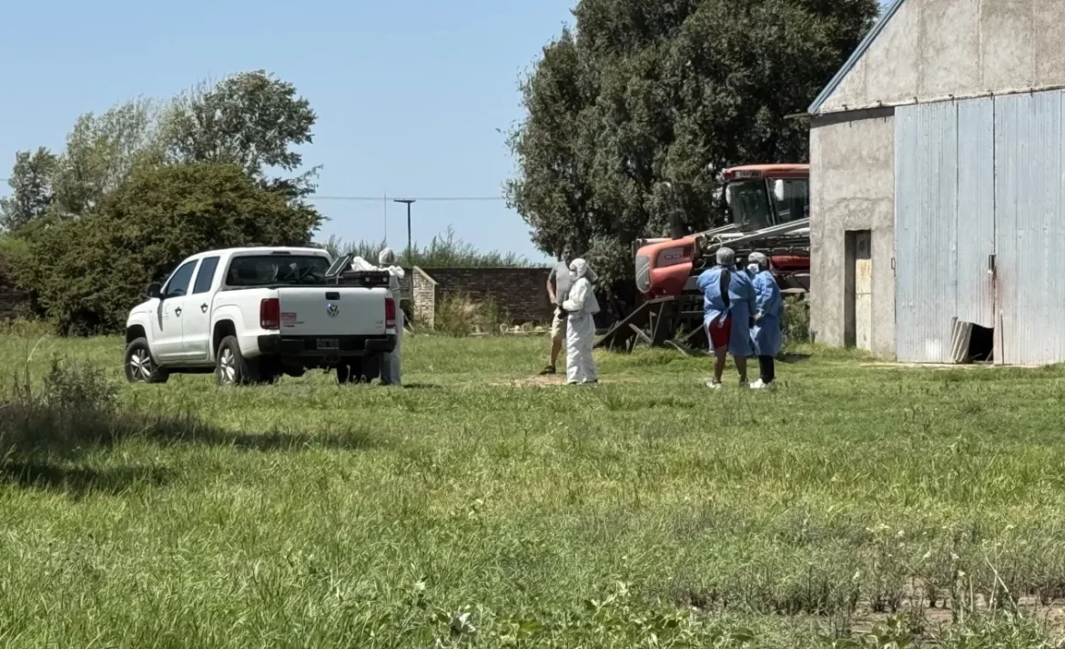 Dos nuevos robos de los “cortachapas” en Realicó