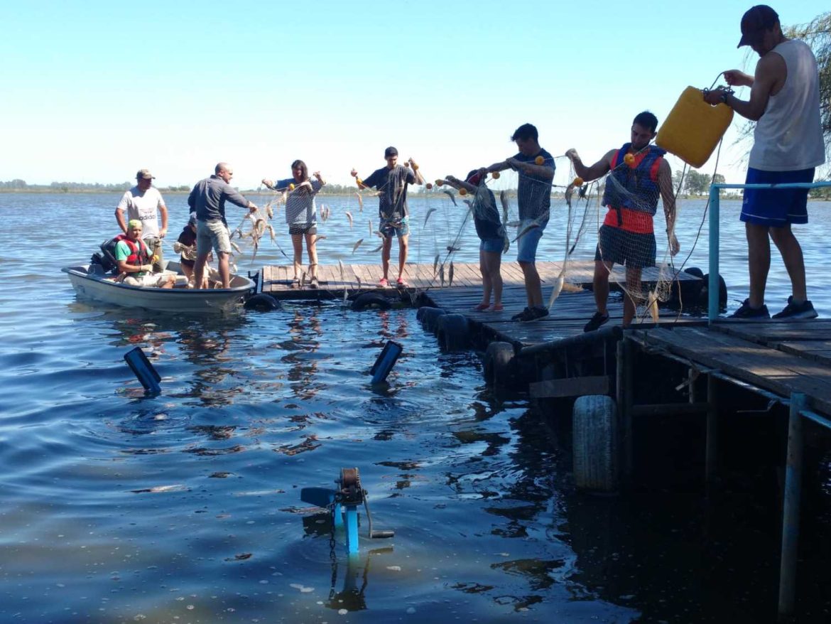 Si te preocupa el ambiente y la calidad de vida, esta es tu carrera: Ingeniería en Recursos Naturales y Medio Ambiente