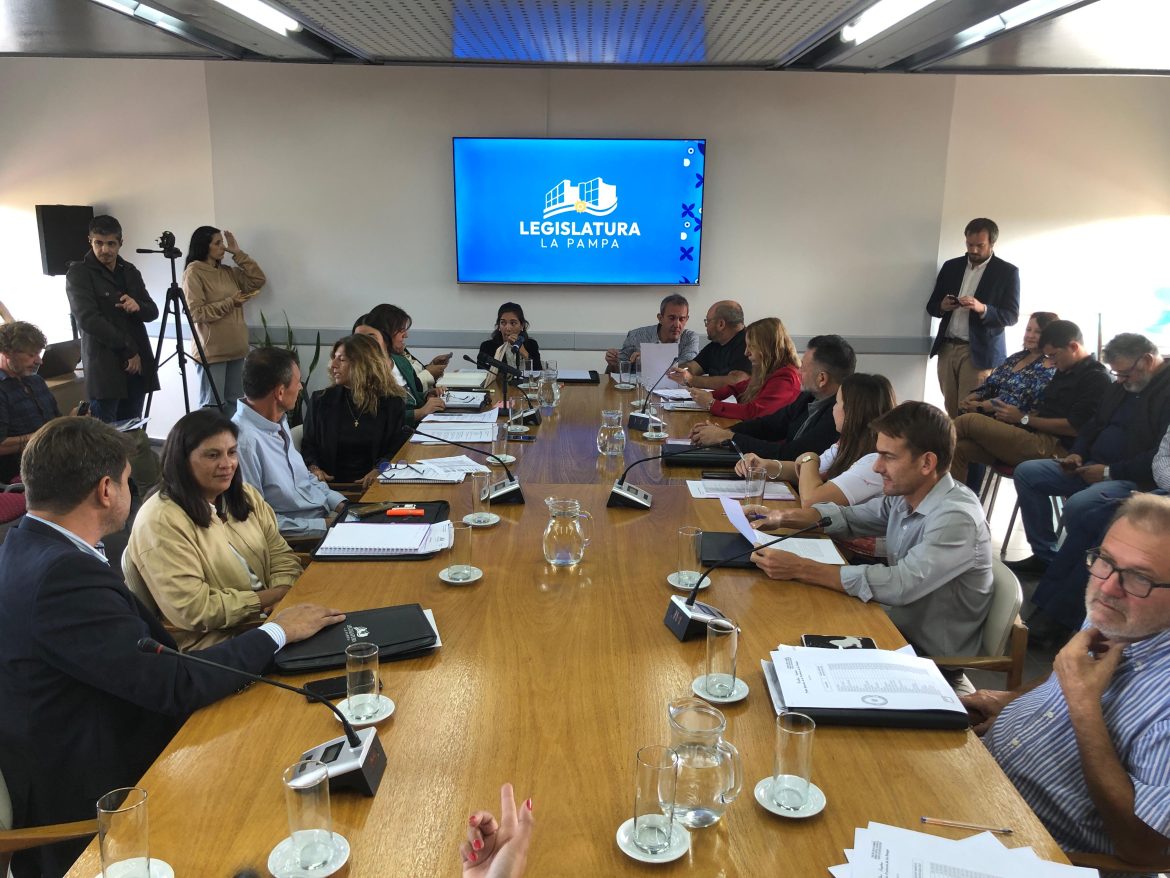 En comisión empezó a tratarse la ley de El Medanito: definieron a quiénes invitarán