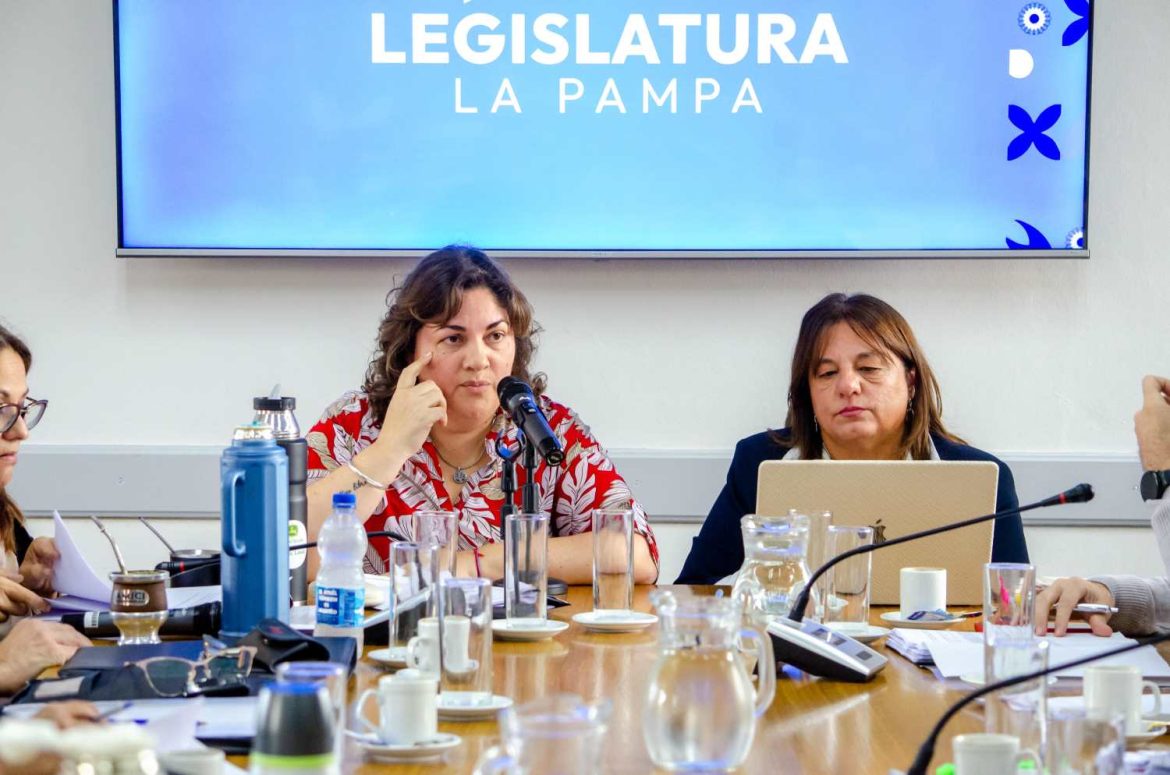 Cupo femenino en la construcción: avanza ley para que en las obras públicas contraten el 10% de mujeres
