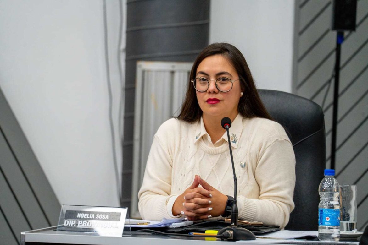 Interna y nuevo choque por El Medanito: el ultravernismo advierte por el pliego y desde Casa de Gobierno lo desmienten