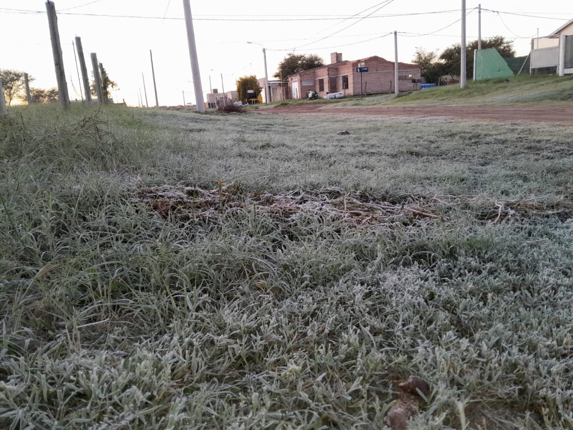 Se cayó la primera helada del año en Santa Rosa